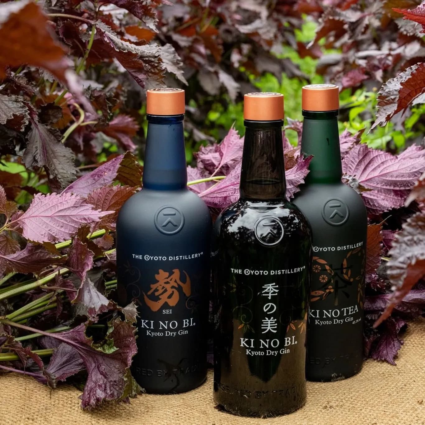 Kyoto Distillery cover image