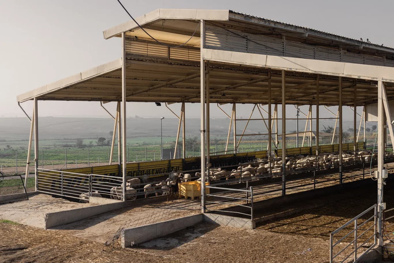 Wadi Attir cover image